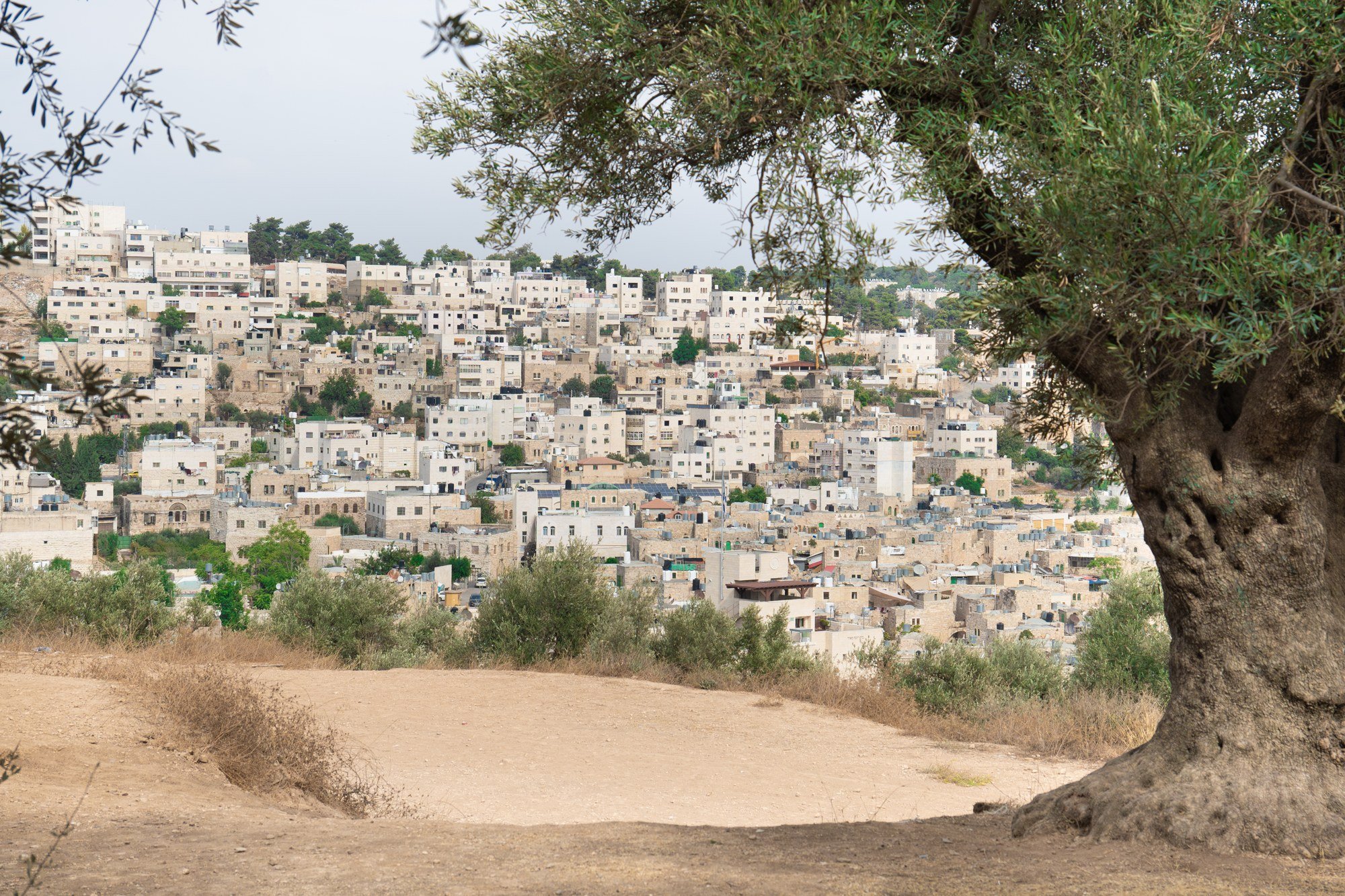 Justice Without Vengeance: What the Church Asks After an Attack near Hebron Closes the West Bank